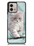 Grey Kitten Motorola Moto G Stylus 5G 2023 Case OV5901