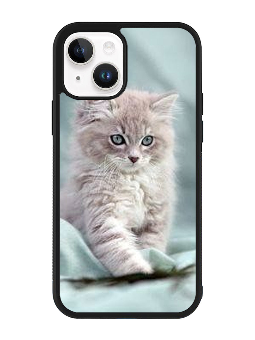 Grey Kitten iPhone 14 Plus Case QC5901