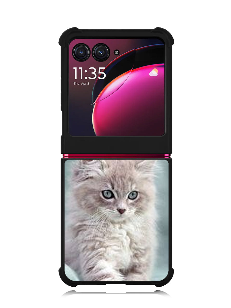 Grey Kitten Motorola Moto Razr Plus 2023 , Moto Razr+ 2023 Case OV5901