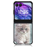 Grey Kitten Motorola Moto Razr Plus 2024 , Moto Razr+ 2024 Case OV5901