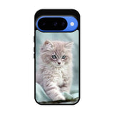 Grey Kitten Google Pixel 10 Case OV5901