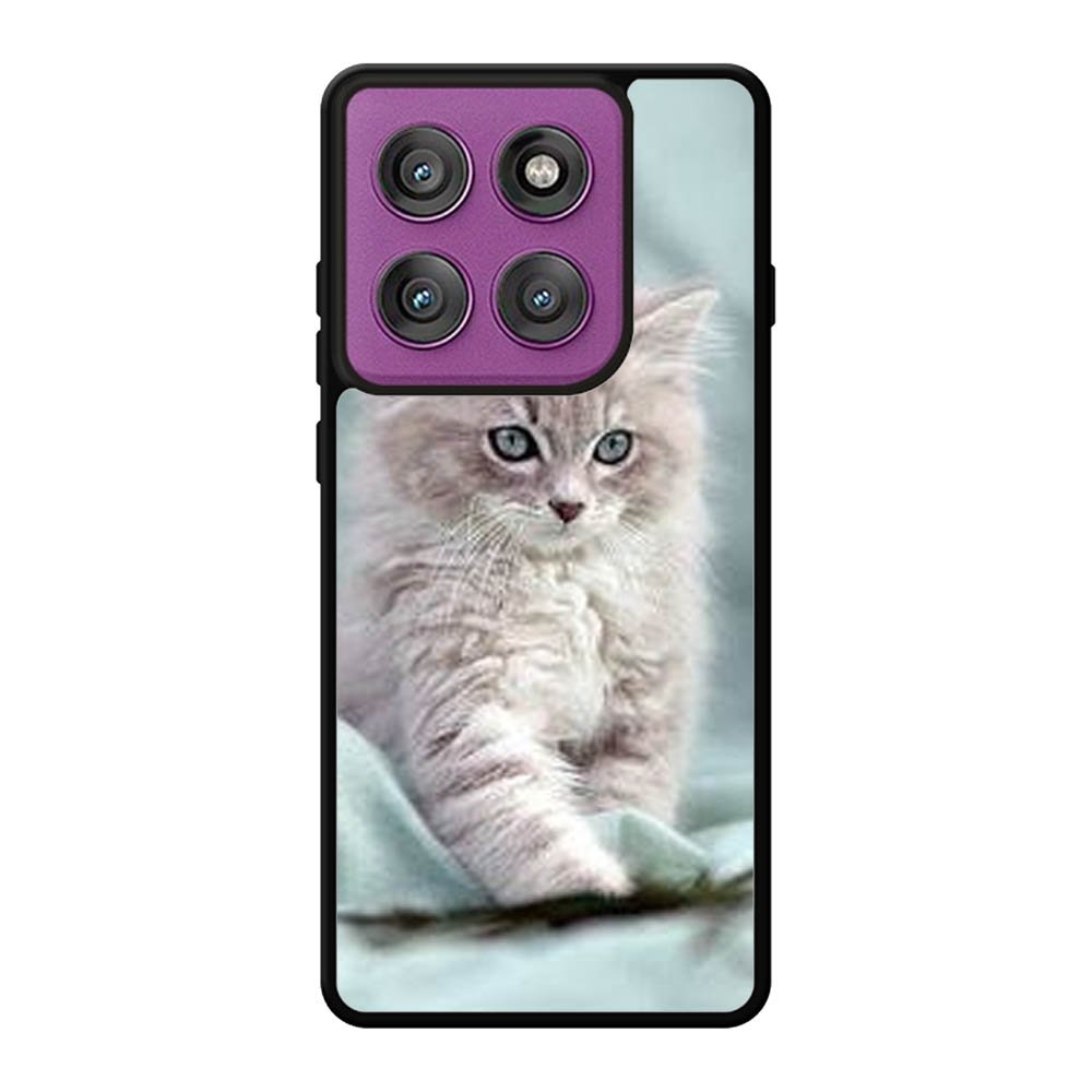 Grey Kitten Motorola Moto Edge 60 Pro Case OV5901
