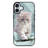 Grey Kitten iPhone 16 Plus Case QC5901