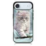 Grey Kitten iPhone 17 Air Case OV5901