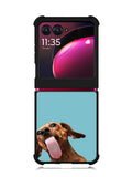 The funny thing is the dog on the glass Motorola Moto Razr Plus 2023 , Moto Razr+ 2023 Case OV0333