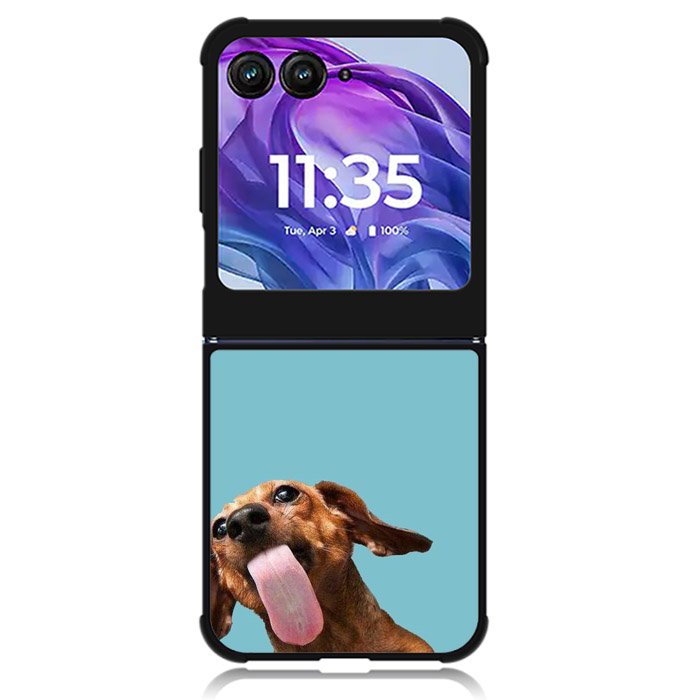 The funny thing is the dog on the glass Motorola Moto Razr Plus 2024 , Moto Razr+ 2024 Case OV0333