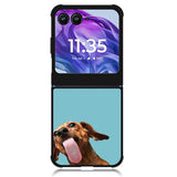 The funny thing is the dog on the glass Motorola Moto Razr Plus 2024 , Moto Razr+ 2024 Case OV0333
