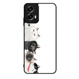 Cat Unity Motorola Moto G Play 2024 Case OV0069