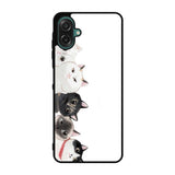 Cat Unity Samsung Galaxy A07 Case QC0069