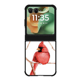 Bird Motorola Moto RAZR 2025 Case OV9766