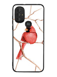 Bird Motorola Moto G Pure 2021 , Moto G Power 2022 Case OV9766