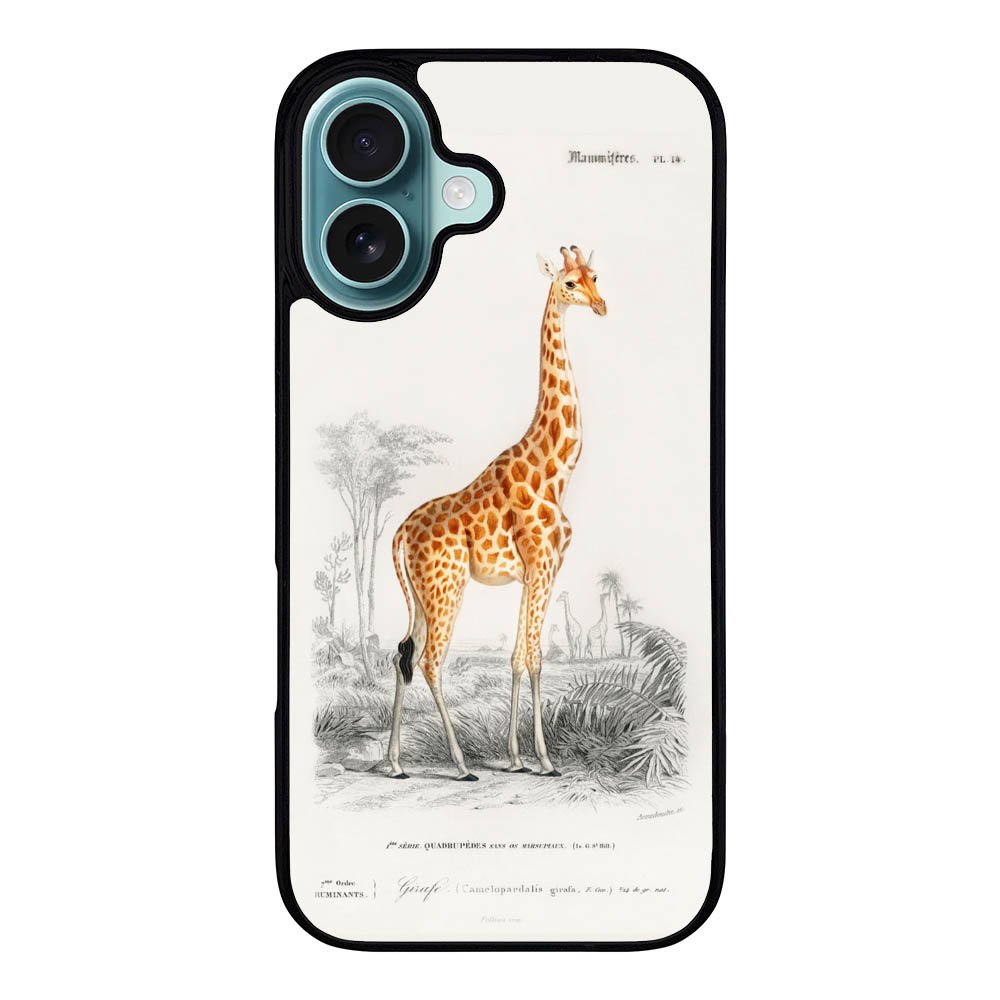 Quirk Cover: Stylish TPU phone cases with shock absorption, enhanced grip, and vibrant sublimation prints. Durable, long-lasting, and packed with personality.