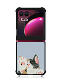 Cat Motorola Moto Razr Plus 2023 , Moto Razr+ 2023 Case OV11194