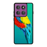 Parrot Motorola Moto Edge 60 Pro Case QC10788