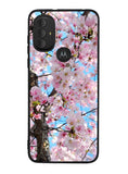 Cherry Blossoms Motorola Moto G Pure 2021 , Moto G Power 2022 Case OV0867