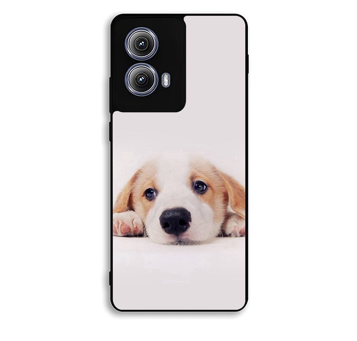 Lonely Dog Motorola Moto Edge 2024 Case OV1498