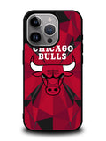 chicago bulls iPhone 16 Pro Case OV10680