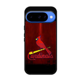 Cardinals Arizona Google Pixel 10 Case QC9225