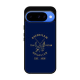 Harry Potter Ravenclaw Google Pixel 10 Case OV8277
