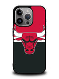 Chicago Bulls Logo iPhone 16 Pro Case OV9322
