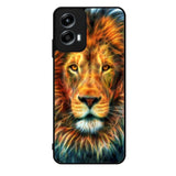 Colorfull Taiger Motorola Moto G Play 2024 Case OV8679