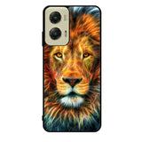 Colorfull Taiger Motorola Moto G Stylus 5G 2024 Case OV8679