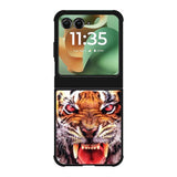 Angry Tiger Roar Motorola Moto RAZR 2025 Case OV8676