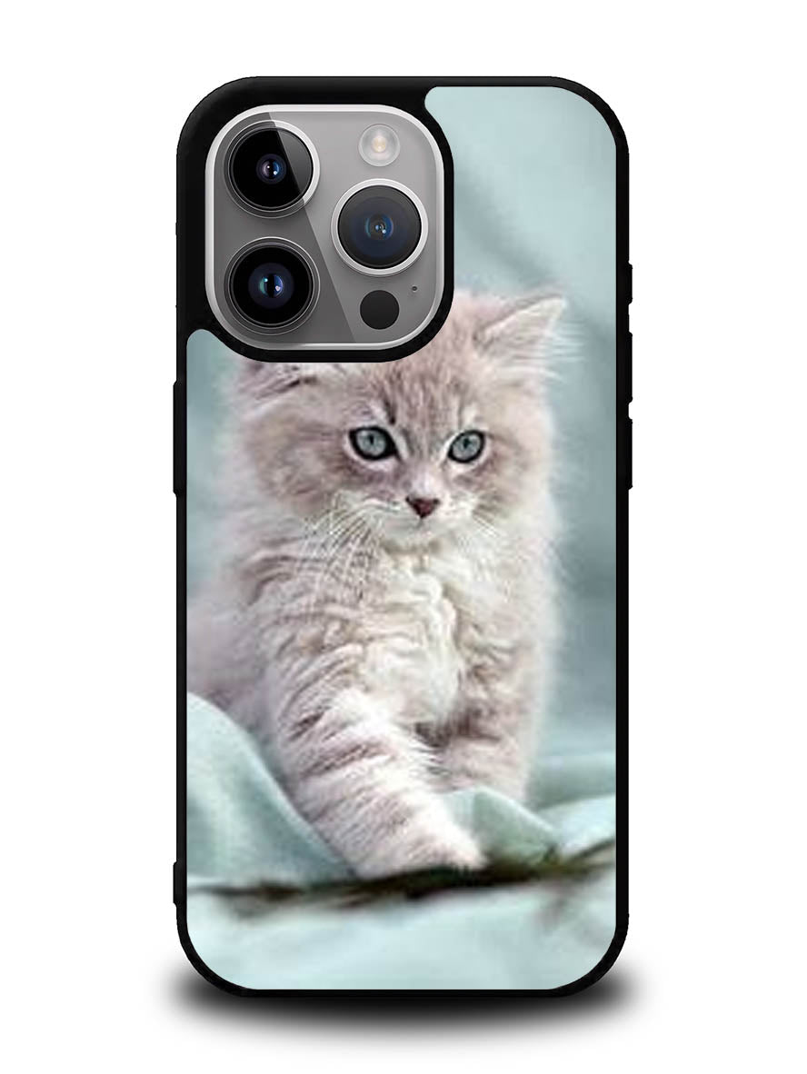 Grey Kitten iPhone 16 Pro Max Case OV5901