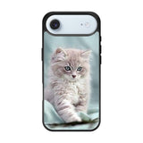 Grey Kitten iPhone Air Case OV5901
