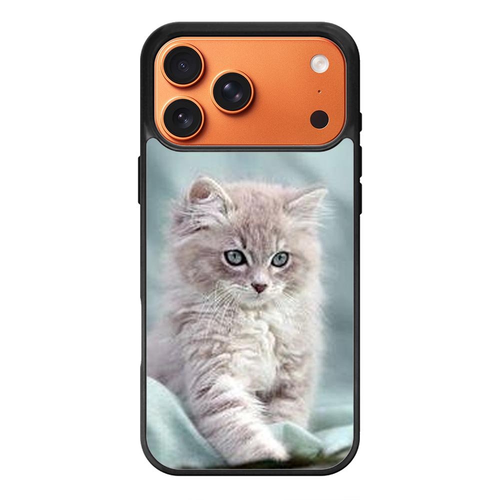 Grey Kitten iPhone 17 Pro Case OV5901