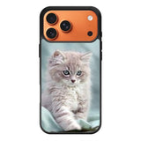 Grey Kitten iPhone 17 Pro Max Case OV5901