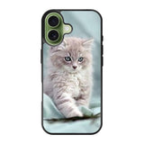 Grey Kitten iPhone 17 Case OV5901