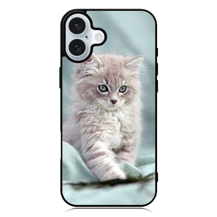 Grey Kitten iPhone 16 Case QC5901