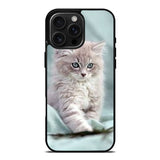 Grey Kitten iPhone 16 Pro Case OV5901
