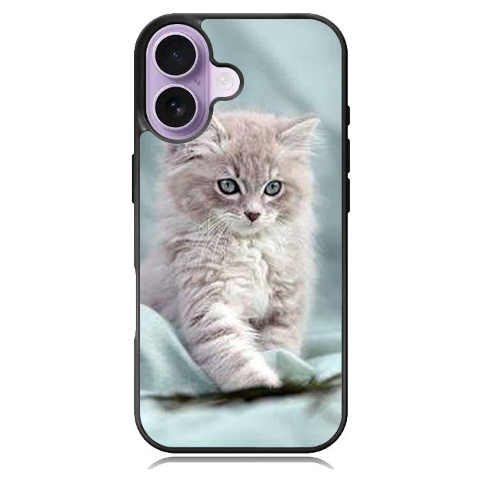 Grey Kitten iPhone 17 Case OV5901