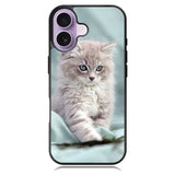 Grey Kitten iPhone 17 Case OV5901