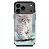 Grey Kitten iPhone 17 Pro Case RC5901