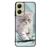 Grey Kitten Motorola Moto G Stylus 5G 2024 Case OV5901