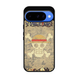 The Legend Pirates One Piece Google Pixel 10 Case QC10456