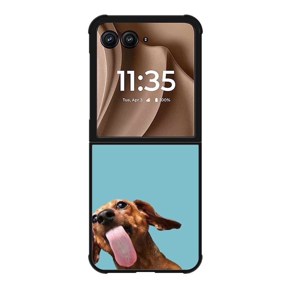 The funny thing is the dog on the glass Motorola Moto RAZR Plus 2025 Case OV0333