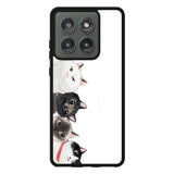 Cat Unity Motorola Moto Edge 2025 Case QC0069