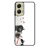 Cat Unity Motorola Moto G Stylus 5G 2024 Case OV0069