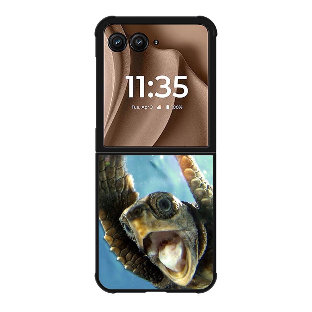 cute turtle Motorola Moto RAZR Plus 2025 Case OV4533