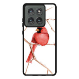 Bird Motorola Moto Edge 2025 Case OV9766