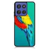 Parrot Motorola Moto G Stylus 5G 2025 Case OV10788