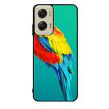 Parrot Motorola Moto G Stylus 5G 2024 Case OV10788