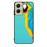 Parrot Motorola Moto G Stylus 5G 2024 Case OV10789