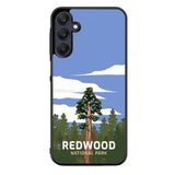 Redwood National Park FZ0211 Samsung Galaxy A15 5G Case