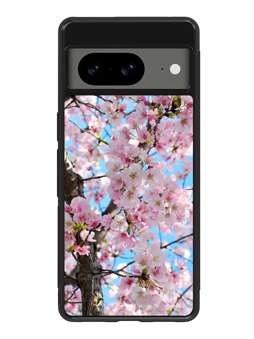 Cherry Blossoms Google Pixel 8 Case QC0867