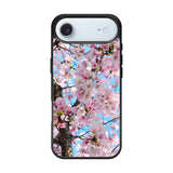 Cherry Blossoms iPhone Air Case QC0867